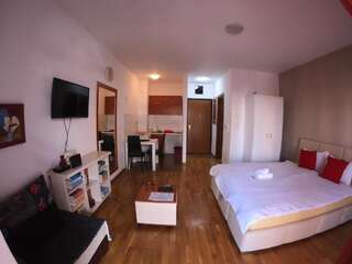 Апартаменты Apartment Bono 1 City Kvart Подгорица Апартаменты с 1 спальней-31