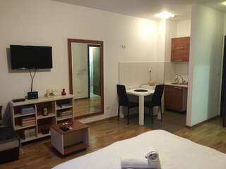Апартаменты Apartment Bono 1 City Kvart Подгорица Апартаменты с 1 спальней-6